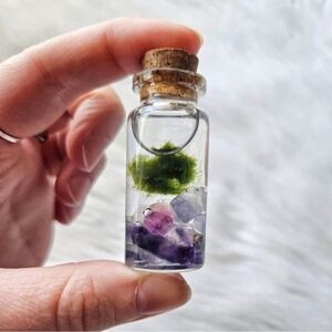 Marimo Moss Ball In Jar